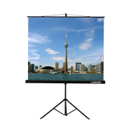 Проекционный экран на штативе Lumien Eco View (LEV-100105) 160x160 см - «globural.ru» - Клин