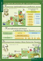 Биология 10-11 класс. Эволюционное учение (комплект таблиц) - «globural.ru» - Клин