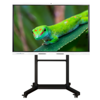 Интерактивный комплекс Geckotouch ​​​​​​​65RK - «globural.ru» - Клин