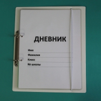 Дневник школьника (с полным набором карточек) - «globural.ru» - Клин