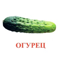 Карточки Домана "Овощи-Зелень-1" - «globural.ru» - Клин