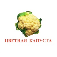 Карточки Домана "Овощи-Зелень-2" - «globural.ru» - Клин