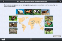 Интерактивные курсы. Биология 7 класс. Расширенный - «globural.ru» - Клин