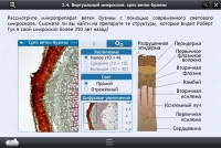Интерактивные курсы. Биология 5 класс. Расширенный - «globural.ru» - Клин