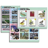 Комплект таблиц для  начальной школы "Окружающий мир. Экология" - «globural.ru» - Клин