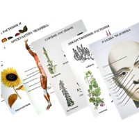 Таблицы по природоведению 1-3 класс - «globural.ru» - Клин