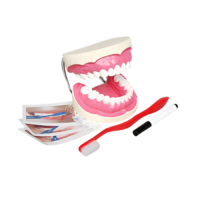 Игровой комплект "Чистим зубы" - «globural.ru» - Клин