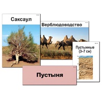 Модель-аппликация "Природные зоны России" - «globural.ru» - Клин