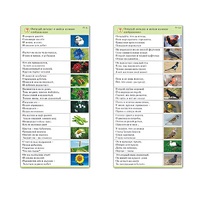Комплект карточек (10) "Обучающий калейдоскоп. Природа" - «globural.ru» - Клин