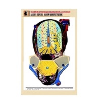 Рельефная таблица "Долька печени. Макро-микростроение" (формат А1, матовое ламинир.) - «globural.ru» - Клин