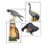 Модель-аппликация "Разнообразие высших хордовых 1. Пресмыкающиеся и птицы" (ламинированная) - «globural.ru» - Клин