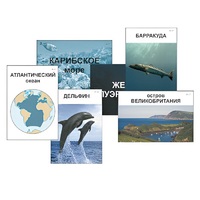 Модель-аппликация "Океаны. Знакомство" (ламинированная) - «globural.ru» - Клин