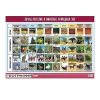 Таблица демонстрационная "Почвы, растения и животные природных зон" (винил 100x140) - «globural.ru» - Клин