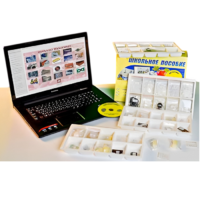 Коллекция натурально-интерактивная "Пластмассы" - «globural.ru» - Клин