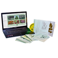 Гербарий натурально-интерактивный "Лекарственные растения" - «globural.ru» - Клин