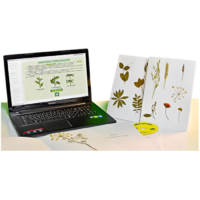 Гербарий натурально-интерактивный "Морфология растений" - «globural.ru» - Клин