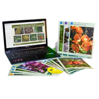 Гербарий натурально-интерактивный "Основные группы растений. Грибы. Лишайники" - «globural.ru» - Клин