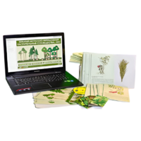 Гербарий натурально-интерактивный "Растительные сообщества. Лес" - «globural.ru» - Клин