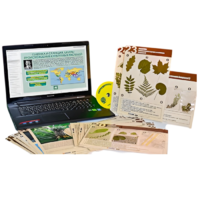 Гербарий натурально-интерактивный к курсу основ общей биологии - «globural.ru» - Клин