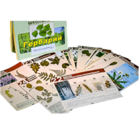 Гербарий к курсу основ общей биологии - «globural.ru» - Клин