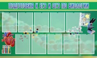Стенд "Подготовка к ЕГЭ и ОГЭ по биологии" (вариант 2) - «globural.ru» - Клин
