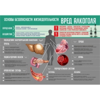 Стенд "Алкоголь" - «globural.ru» - Клин