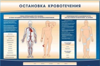 Электрифицированный стенд-тренажер "Остановка кровотечения" - «globural.ru» - Клин
