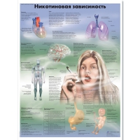 Плакат "Никотиновая зависимость", ламинированный, 50*67 см - «globural.ru» - Клин