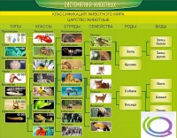 Стенд "Систематика животных" - «globural.ru» - Клин