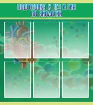 Стенд "Подготовка к ЕГЭ и ОГЭ по биологии" (вариант 1) - «globural.ru» - Клин