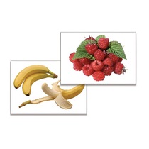 Дидактическое пособие "Фрукты, ягоды, орехи" (24 карточки, А4, ламинированные) - «globural.ru» - Клин