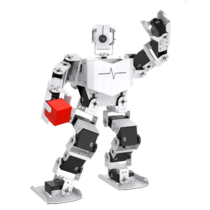 Базовый робототехнический набор  "Техник" для изучения систем управления робототехническими комплексами и андроидными роботами "Сережа ИН Про". Полный комплект на Raspbery Pi - «globural.ru» - Клин