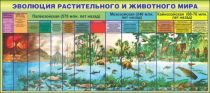 Стенд "Эволюция растительного и животного мира" - «globural.ru» - Клин