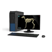 Макет масштабный «Скелет Лошади» Масштаб 1:2 - «globural.ru» - Клин