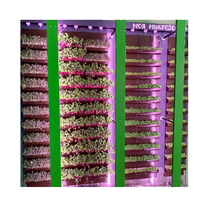 Вертикальная ферма "Моя Микрозелень" комплектация Школьная - «globural.ru» - Клин