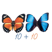 Счетный материал на магнитах "Бабочки-1". - «globural.ru» - Клин