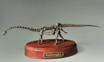 Модель скелета динозавра Diplodocus  (вариант 2) - «globural.ru» - Клин