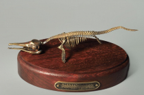 Модель скелета ихтиозавра Ichthyosaurus - «globural.ru» - Клин
