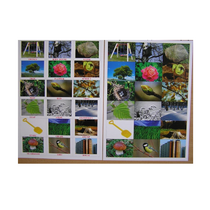 Английское лото "На прогулке" - «globural.ru» - Клин