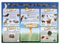 Стенд-уголок "Друзья наши меньшие" - «globural.ru» - Клин