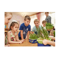 Обучающий комплект экологической направленности "Сити-фермер 2.0 Детский сад" 10 человек - «globural.ru» - Клин