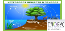 Стенд "Круговорот веществ" - «globural.ru» - Клин