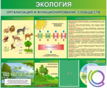 Стенд "Экология. Организация и функционирование сообществ" - «globural.ru» - Клин