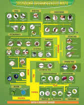 Стенд "Эволюция органического мира" - «globural.ru» - Клин