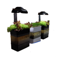 Учебная установка "Аквапоника"  - «globural.ru» - Клин