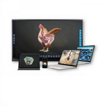 Интерактивное наглядное 3D пособие «Познание: Птицеводство» - «globural.ru» - Клин