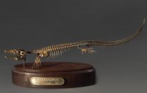 Модель скелета мозазавра Mosasaurus - «globural.ru» - Клин