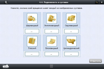 Интерактивные курсы. Биология 8 класс. Расширенный - «globural.ru» - Клин
