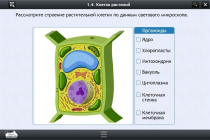 Интерактивные курсы. Биология 9 класс. Базовый - «globural.ru» - Клин