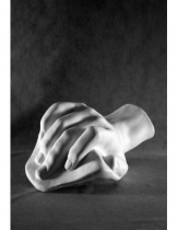 Кисть Давида - «globural.ru» - Клин